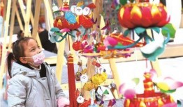 网友爆料兔子花灯视频,传统民俗魅力再现